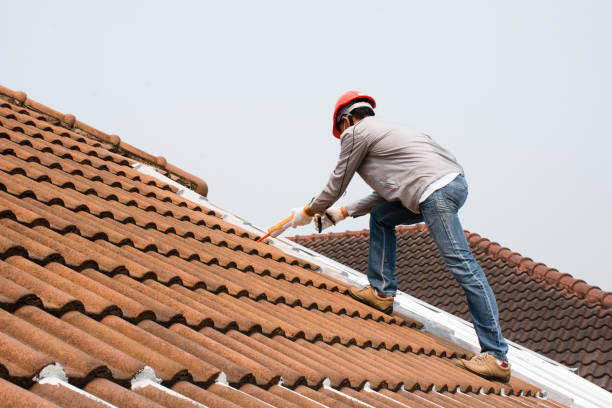 Best Wood Shake Roofing  in Ripley, MS