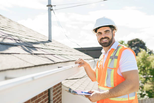 Best Roof Moss and Algae Removal  in Ripley, MS