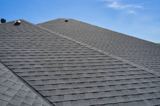 Best Steel Roofing  in Ripley, MS