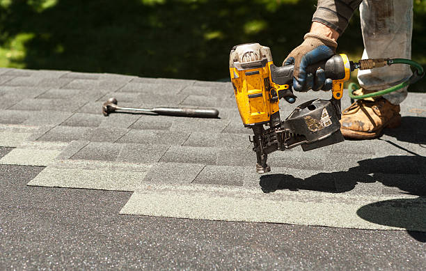Best Roof Leak Repair  in Ripley, MS