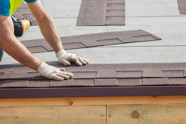 Best Solar Panel Roofing Installation  in Ripley, MS